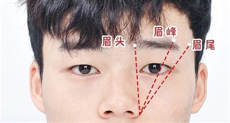 男士眉毛|男生眉毛類型有哪些？自然眉、一字眉⋯修眉技巧、眉。